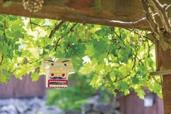Paint and Build Classic 6 Inch Tall Bird Buffet Art Craft Kit for Ages 5 Up