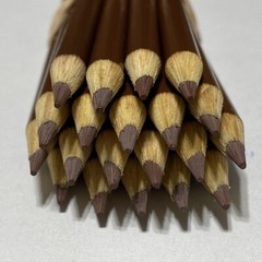 (20) Crayola Colored Pencils (brown) BULK