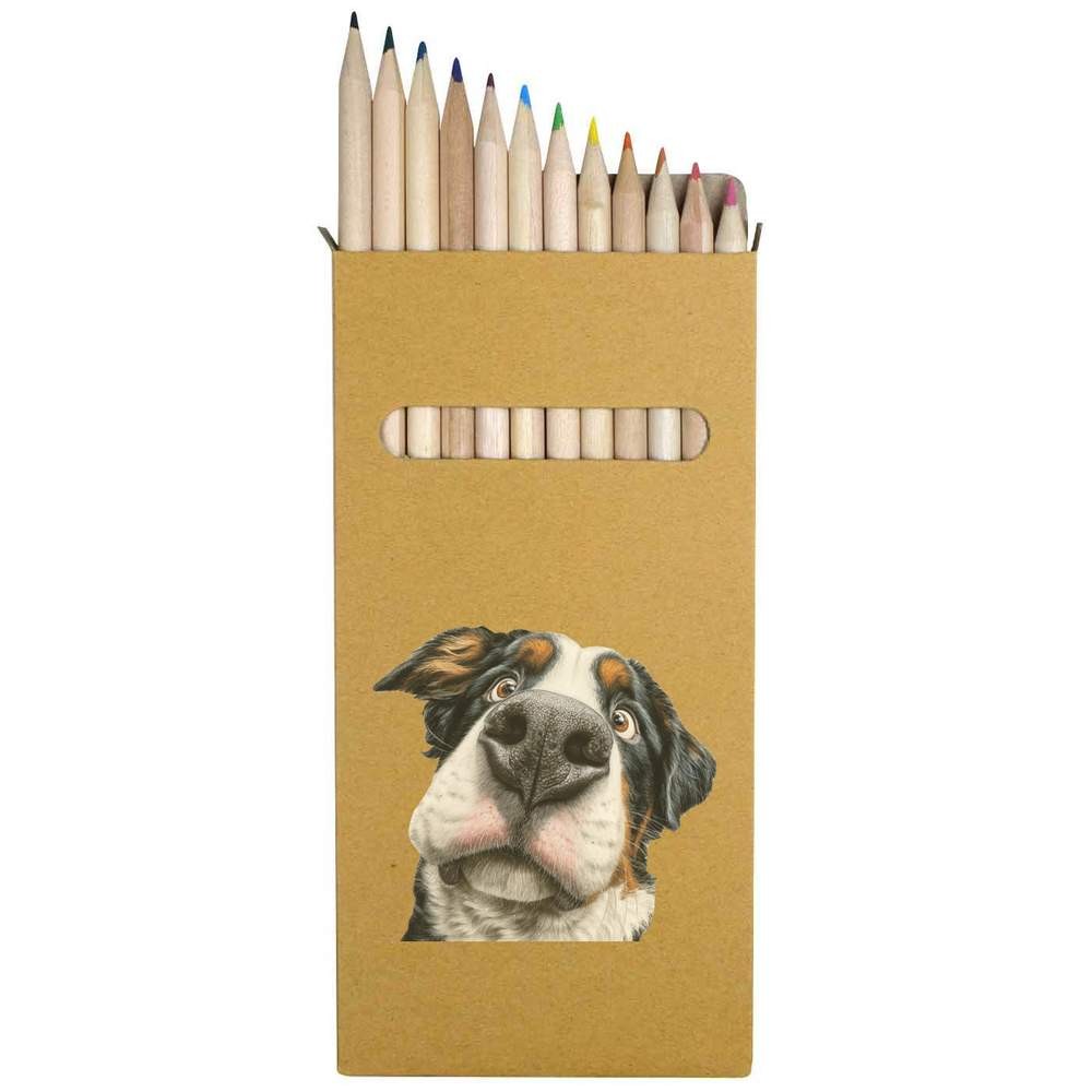 12 x ‘Funny Bernese Mountain Dog’ Long Colour Pencils (PE00093217)