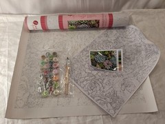 NEW Pink Picasso Art Kit – Sensitive Succulent 20-Hour Project 16×20″ Canvas NIB