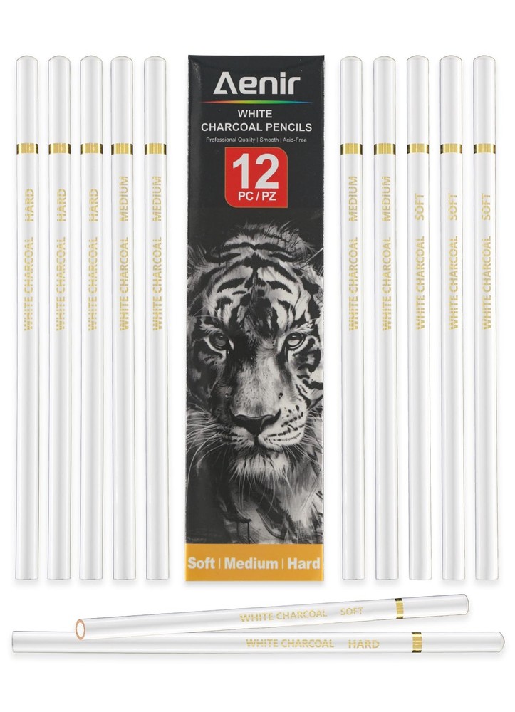 White Charcoal Pencils, Pack of 12 Charcoal Drawing Pencils, Charcoal Pencils…