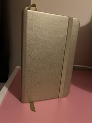Royal Talens – Art Creation Hardback Sketchbook – 80 Sheets – 9x 14cm – Gold