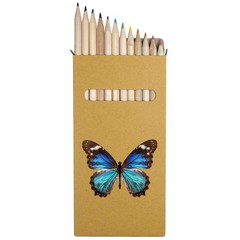 12 x ‘Realistic Butterfly’ Long 178mm Coloured Pencils / Pencil Set (PE00088119)