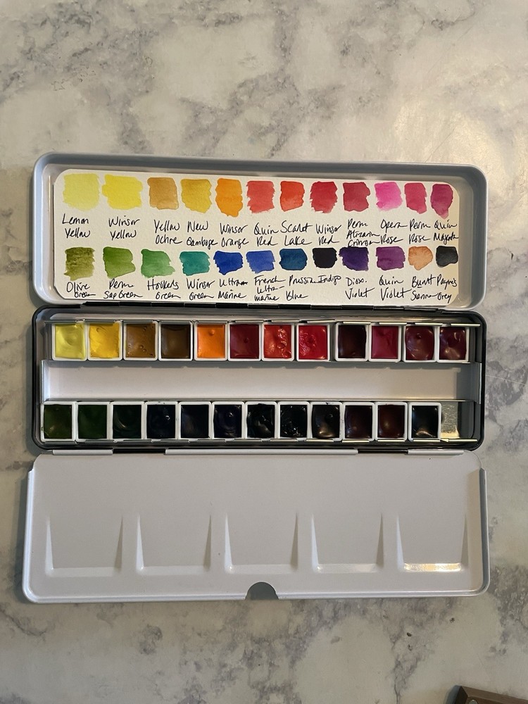 Winsor & Newton Professional Watercolor Curated Set Of 24 Half Pans