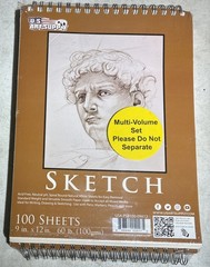 2 Packs 9″ x 12″ Spiral Bound Sketch Pad, Pad of 100-Sheets, 60 Pound (100gsm)