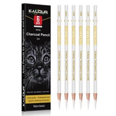 6 PCS Professional White Charcoal Sketch Pencils Shading Blending Chalk