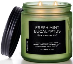 M&SENSE Eucalyptus & Mint Home Scented Candles, Medium Jar,