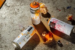 Professional Acrylic Spray Paint, 12oz Can for Interior and Exterior Use