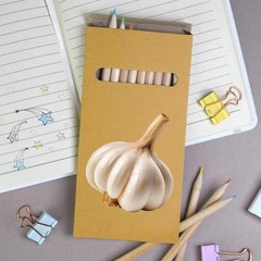 12 x ‘Garlic Bulb’ Long 178mm Coloured Pencils / Pencil Set (PE00090483)