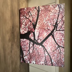 Cherry Tree 18×24 Canvas