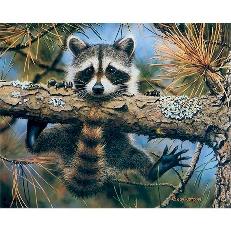 Paint By Numbers Adults kids Little Raccoon Hang DIY Painting Kit 40x50CM Canvas