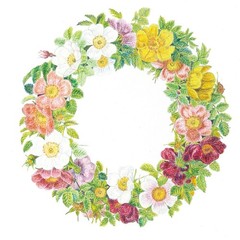 Coupy Pencil Single Color JFY Rose #46 Yes Green