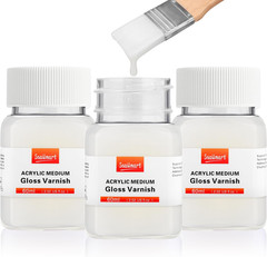 Gloss Varnish for Acrylic Painting, 180Ml/6.1Oz Acrylic Varnish Kit with 2 Brush