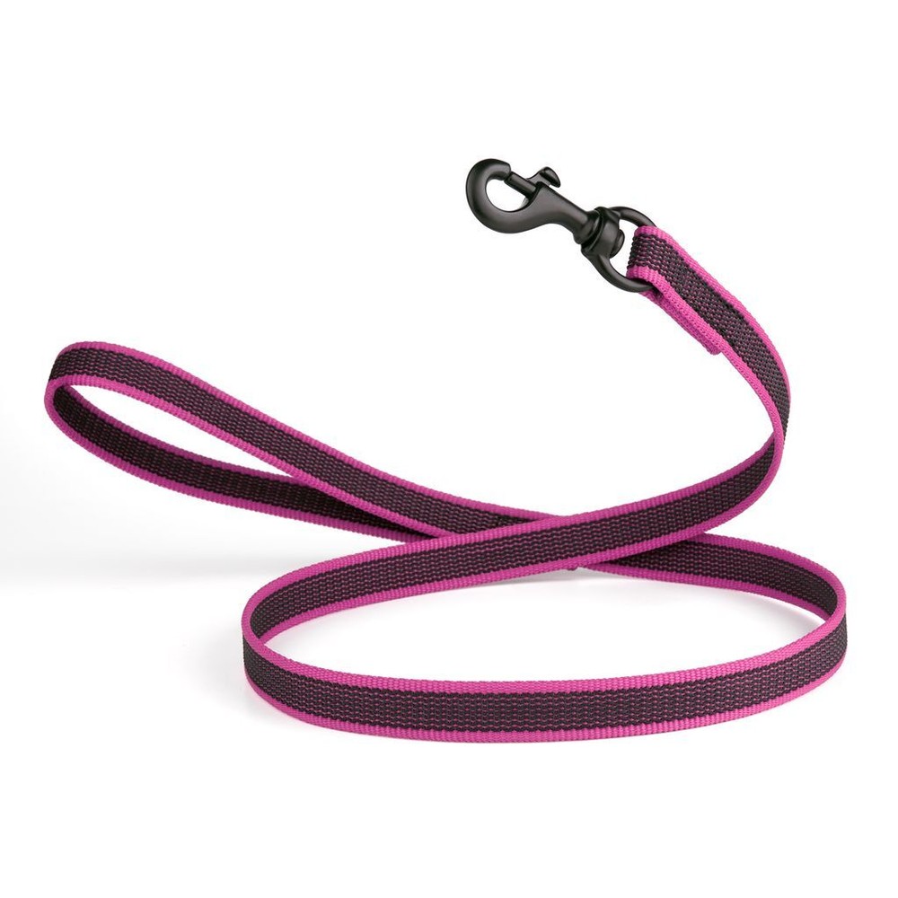 Rubber Infused Nylon Leash W3/4″ x L 4′ Pink