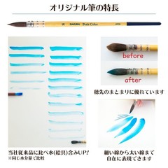 Sakura Crepas Paint Solid Watercolor Petit Color 72 Colors Original Brush Includ