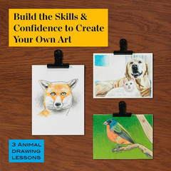 Technique Art Supplies and Digital Art Lessons Animal Drawing Set Bundle Levels