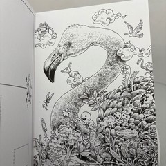 Kerby Rosanes Animorphia Postcards 20 Cards to Colour Art Book Animals