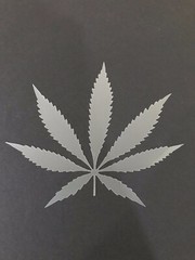 Pot Leaf #1 Stencil 10mm or 7mm Thick, Weed, Marijuana, Crafts, Airbrushing!