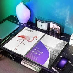 Heavy Duty Binder with Plastic Sleeves 18″x24″, Portfolio Folder with 30 Clea…