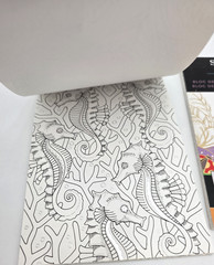 Spectrum Noir Colorista Marker Pads Lot 5×7 Foil Accent Coloring Books 2016