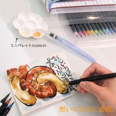 Akashiya Sai Watercolor Brush Pen 15 Colors + Water Brush Japanese Fuji Set