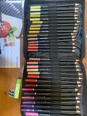 Castle Art 120 Colored pencils with eraser sharpener and pop manga dragon book