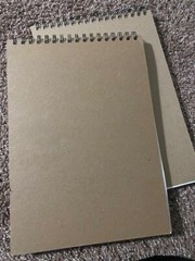 200 Series Sketch Pad, 9X12 Inch, 100 Sheets, – Artist Sketchbook (2 pack)