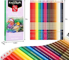 24 Artist Quality Colored Charcoal Pencils – Perfect for Sketching & Blending