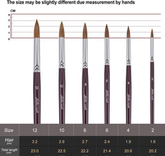 Artist Paint Brushes – Superior Sable Watercolour Brushes round Point Tip Paint