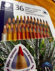 Staedtler 36 Triangular Colored Pencils Metal case. New.