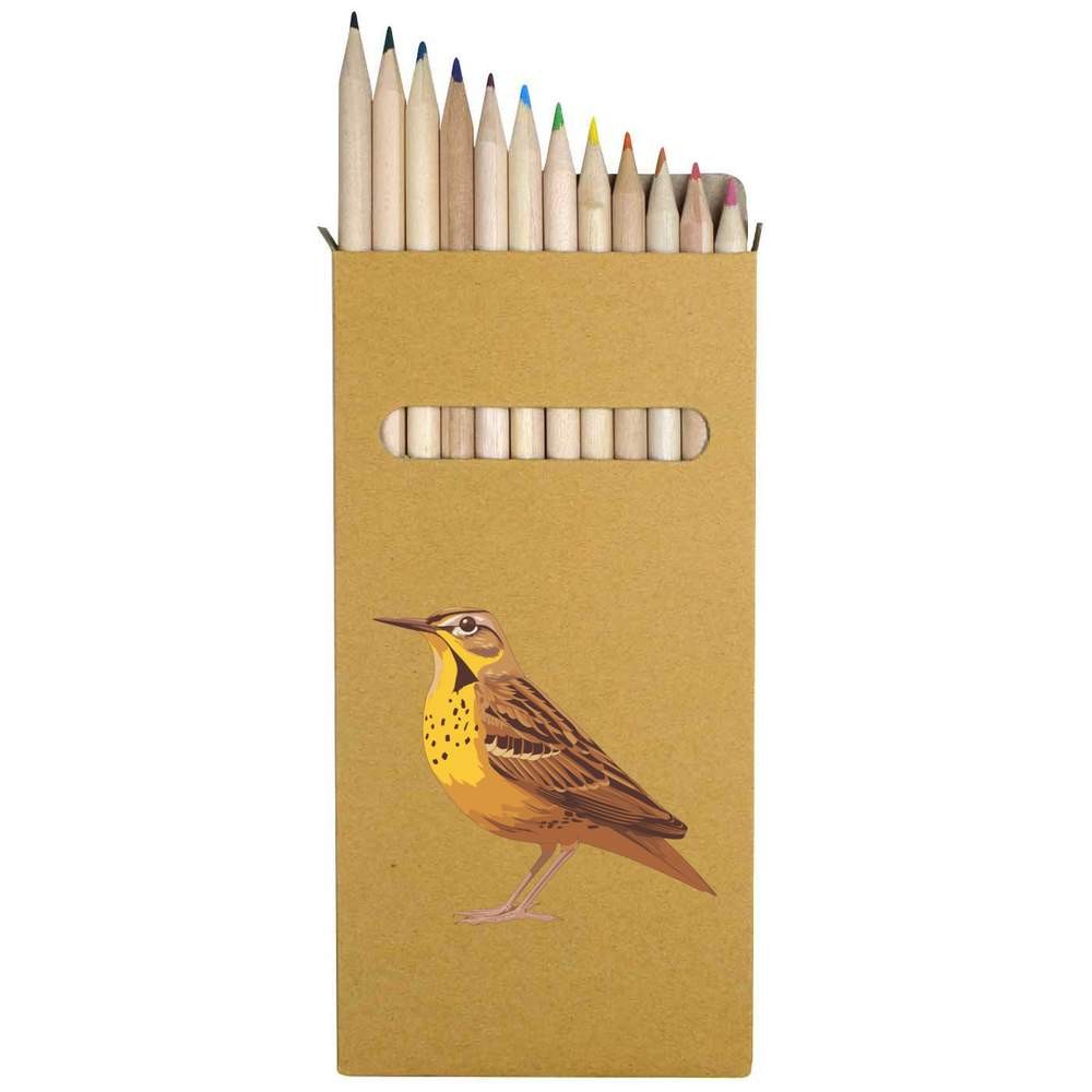 12 x ‘Yellow Bird with Brown Spots’ Long Colour Pencils (PE00088429)
