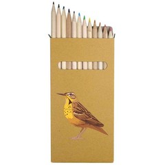 12 x ‘Yellow Bird with Brown Spots’ Long Colour Pencils (PE00088429)