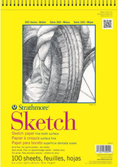 300 Series Sketch Pad, 14X17 Inch, 100 Sheets, Glue Bound – Artist Sketchbook fo