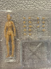 Yookeer Female and Male Action Figure Set for Drawing/Customization (New, Read)