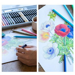 Sakura Coupy Pencil 30 Color Set Color on Color Made in Japan Adult Coloring