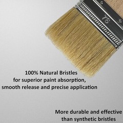Set of 5 1, 1.5, 2, 2.5, 3 Inch Flat Paint Brushes – High European Quality – …