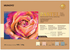 Professional Pastel Paper Pad A4 160Gsm Assorted Colors For Art 30 Sheets
