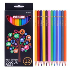 Colored Pencils, Premium Soft Core, 12 Professional Colored Pencil for Adults…
