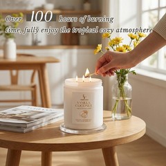 Vanilla Coconut Large Scented Candle, 3-Wick 22oz Long 22oz, Light Gray