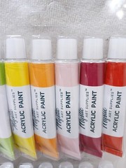 Professional Grade Acrylic Paint Set 24 Tubes Archival Quality Artist Studio Pro