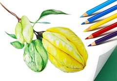 S & E TEACHER’S EDITION 144Pcs Colored Pencils, 1 Count (Pack of 144),