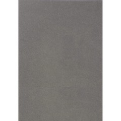 Canson color drawing paper Mitant graphite A4 10 sheets 321-705P