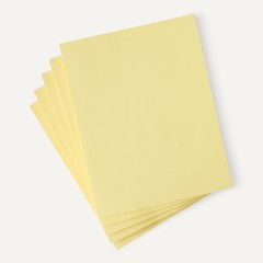 Amazon Basics 30% Recycled Color Copy Paper, 8.5″ x x 11″, Pastel Canary