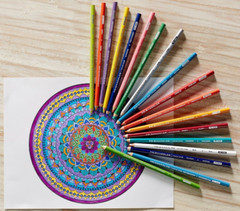 [Prismacolor] Premier Soft Core Colored Pencils 132 Pencils Set ⭐Traceable⭐
