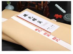 10Pc Ultra-Thin Ripe Xuan Rice Paper Ink Gongbi Painting Copy Calligraphy 云母蝉衣