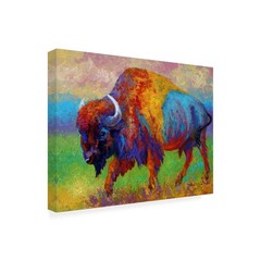 Wrapped Canvas Wall Art – Marion Rose ‘Journey Unknown’ Wall Art for Living R…