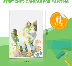Stretched Canvas for Painting 16X20 Inch, 6Pack Large Canvas for Painting, Prime