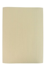 500-Pack 9×12 Inches Manila Graph Paper with 1/4 Inch Rule for School Math