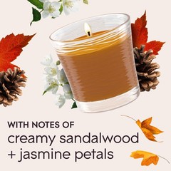 Glade 1-Wick Scented Candle Jar, 6.25 inches (W) x 4.8 (H), Brown