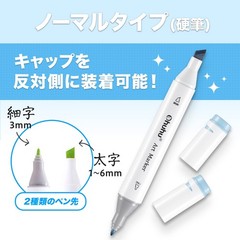 Marker pens 120 colors 121 pens Pastel Thick and thin both ends Illustration mar